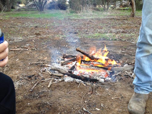 We cooked marshmallows.